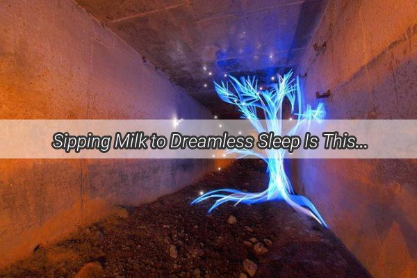 Sipping Milk to Dreamless Sleep Is This the Secret to a Restful Night